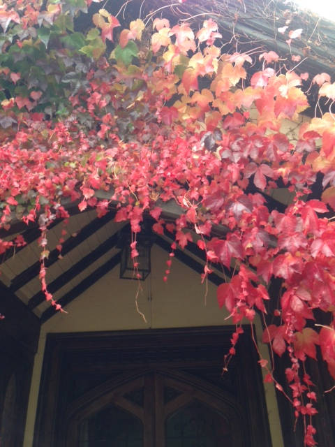 Image of autmun 007 <h2>2014-10-19 - Autumn</h2>