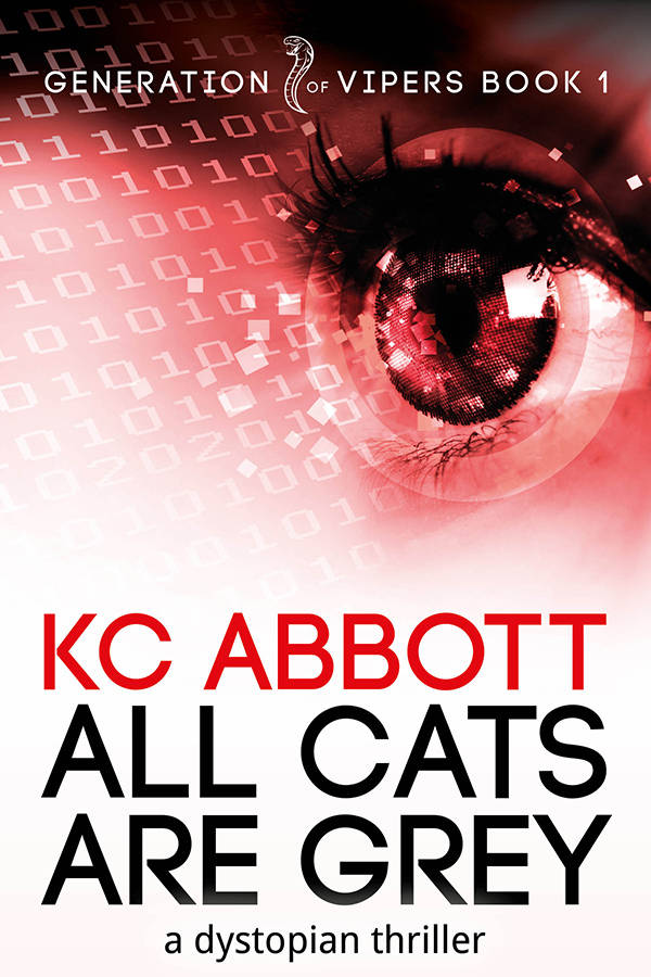 Image of book all cats are grey kc abbott <h2>2015-05-25 - Travel Destinations - KC Abbott</h2>