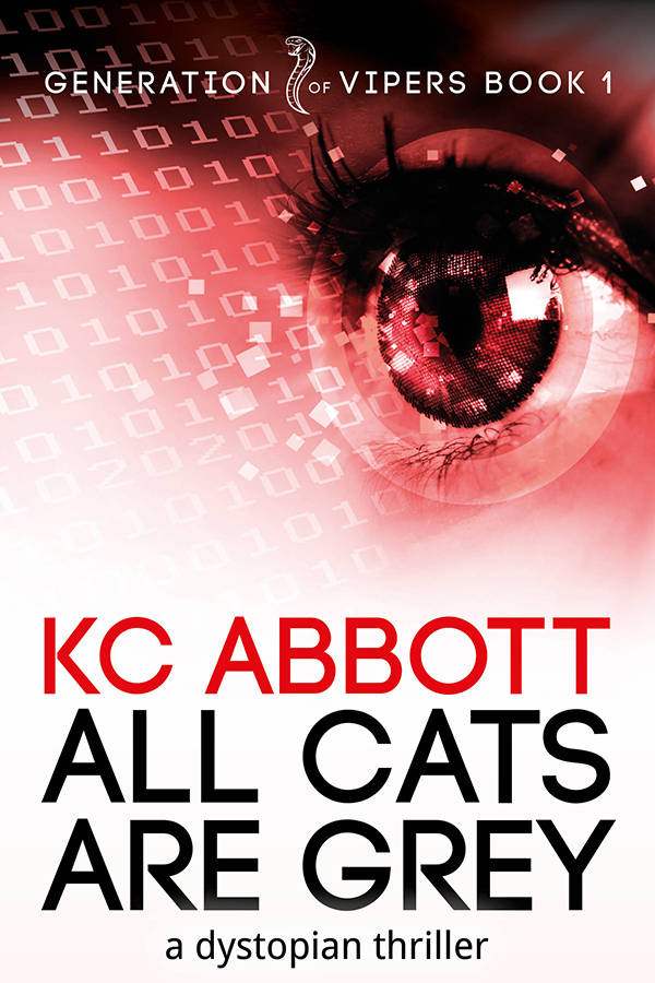 image shows: All Cats are Grey by KC Aaabbott