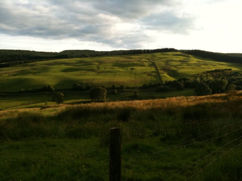 image shows: Scenes from the Forest of Ae in Scotland Where We Spent a Lovely Weekend