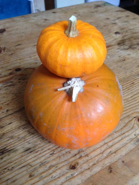 Image of happy halloween 2015 003 <h2>2015-10-31 - Happy Halloween</h2>