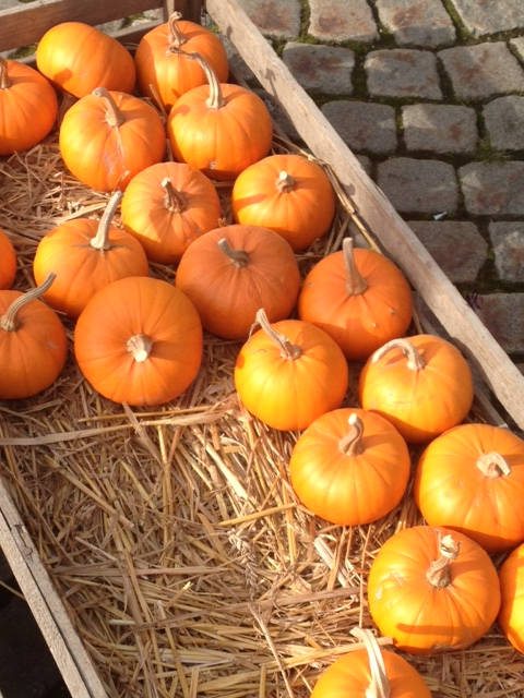 Image of happy halloween 2015 005 <h2>2015-10-31 - Happy Halloween</h2>