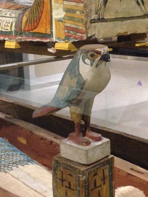 image shows: I loved this fierce Egyptian bird