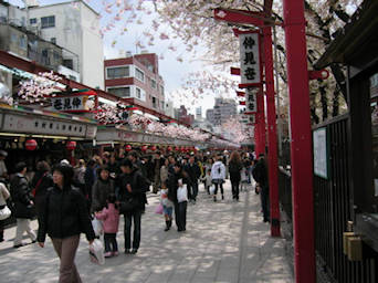 image shows: Tokyo Street Scene