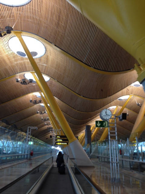 image shows: The ultra-modern airport in Madrid has a fantastic roof